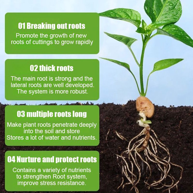 ☘️All-purpose Rooting Solution for All Plants🍈