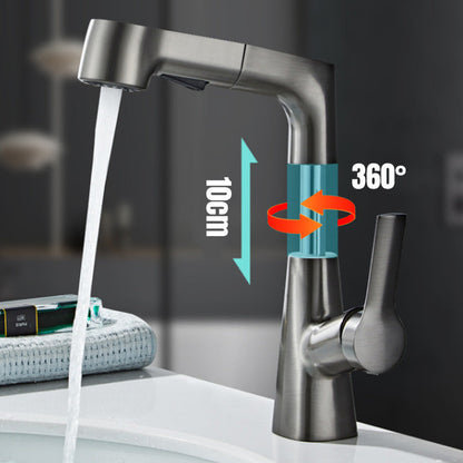 1 Hole Bathroom Faucet with Pull out Sprayer